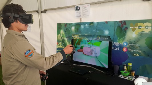 The Virtual Plant Cell