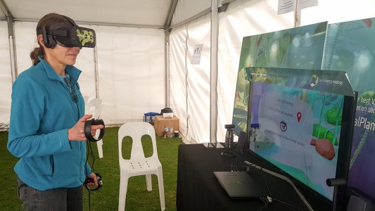The Virtual Plant Cell